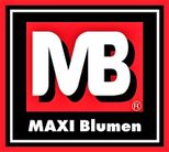 MAXI Blumen