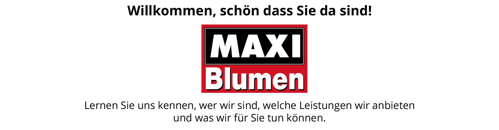 MAXI Blumen